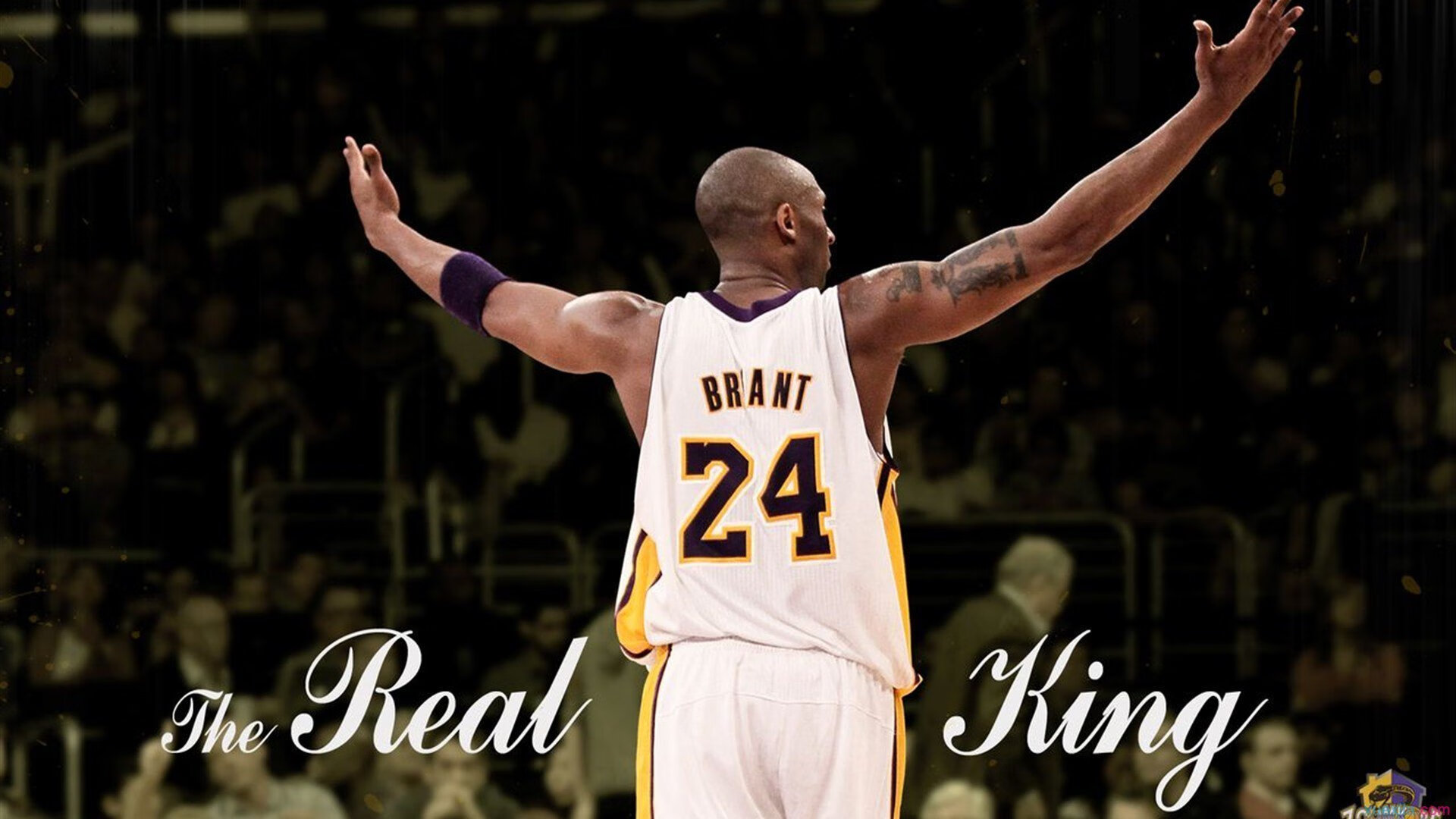 早报,学费交多少算够?从新星折戟看竞技体育的成长代价